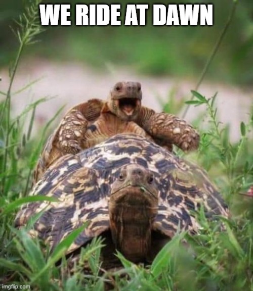 We Ride At Dawn | WE RIDE AT DAWN | image tagged in we ride at dawn | made w/ Imgflip meme maker