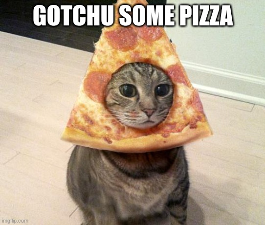 pizza cat | GOTCHU SOME PIZZA | image tagged in pizza cat | made w/ Imgflip meme maker