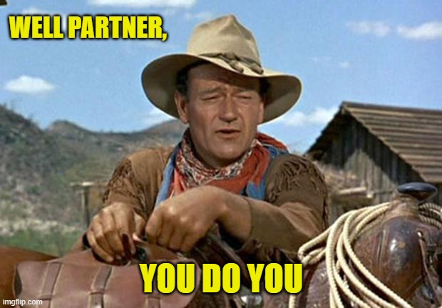 John wayne | WELL PARTNER, YOU DO YOU | image tagged in john wayne | made w/ Imgflip meme maker