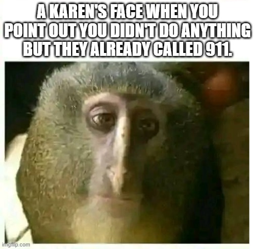 karen monkey | A KAREN'S FACE WHEN YOU POINT OUT YOU DIDN'T DO ANYTHING BUT THEY ALREADY CALLED 911. | image tagged in sympathetic monkey,karen | made w/ Imgflip meme maker