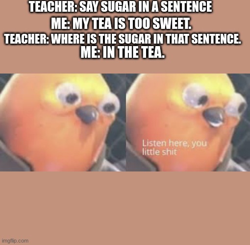 bro its so true | TEACHER: SAY SUGAR IN A SENTENCE; ME: MY TEA IS TOO SWEET. TEACHER: WHERE IS THE SUGAR IN THAT SENTENCE. ME: IN THE TEA. | image tagged in listen here you little shit bird | made w/ Imgflip meme maker