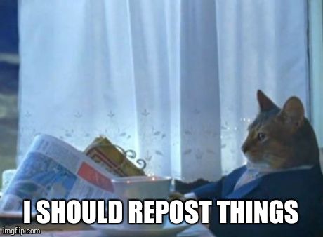 I Should Buy A Boat Cat | I SHOULD REPOST THINGS | image tagged in memes,i should buy a boat cat,AdviceAnimals | made w/ Imgflip meme maker