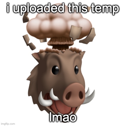 Boar Head explode | i uploaded this temp; lmao | image tagged in boar head explode | made w/ Imgflip meme maker