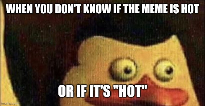 Surprised Penguin of Madagascar | WHEN YOU DON'T KNOW IF THE MEME IS HOT OR IF IT'S "HOT" | image tagged in surprised penguin of madagascar | made w/ Imgflip meme maker
