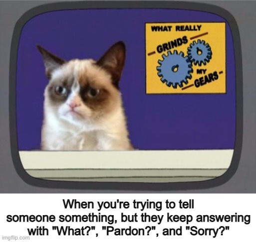 "The-door-is-LOCKED, and-I-need-a-KEY" XD | When you're trying to tell someone something, but they keep answering with "What?", "Pardon?", and "Sorry?" | image tagged in grumpy cat grinds my gears | made w/ Imgflip meme maker