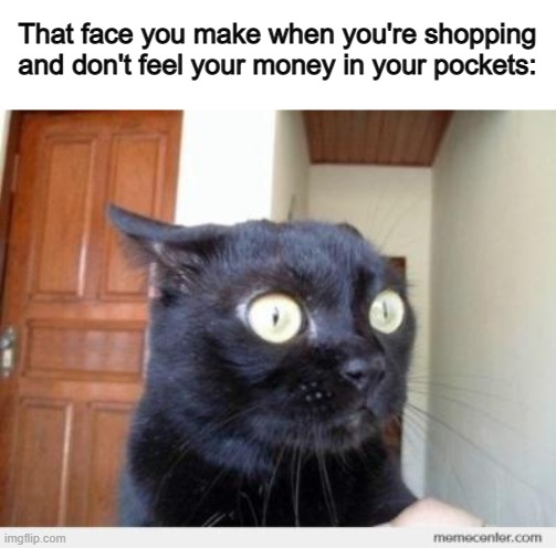 I'm way to cautious of losing my money from my pockets XD | That face you make when you're shopping and don't feel your money in your pockets: | image tagged in scared cat | made w/ Imgflip meme maker