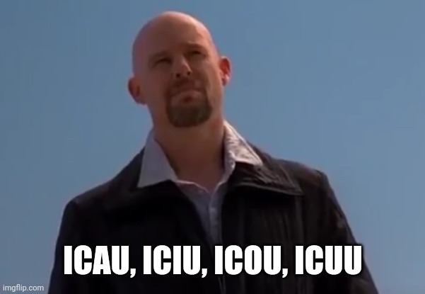 Knockoff walter | ICAU, ICIU, ICOU, ICUU | image tagged in knockoff walter | made w/ Imgflip meme maker