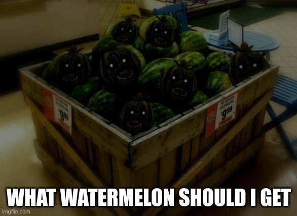 which one | WHAT WATERMELON SHOULD I GET | image tagged in watermelon | made w/ Imgflip meme maker