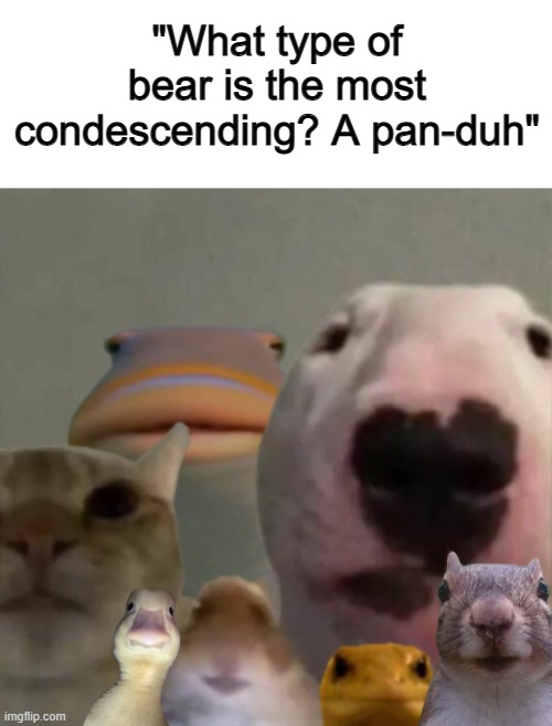 I don't even get this joke... but others found it funny so- :P | "What type of bear is the most condescending? A pan-duh" | image tagged in the council remastered | made w/ Imgflip meme maker