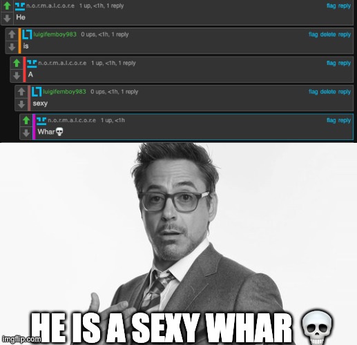 whar | HE IS A SEXY WHAR 💀 | image tagged in robert downey jr's comments | made w/ Imgflip meme maker