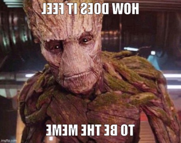 toorg ma I | image tagged in guardians of the galaxy,groot,marvel,memes,funny | made w/ Imgflip meme maker
