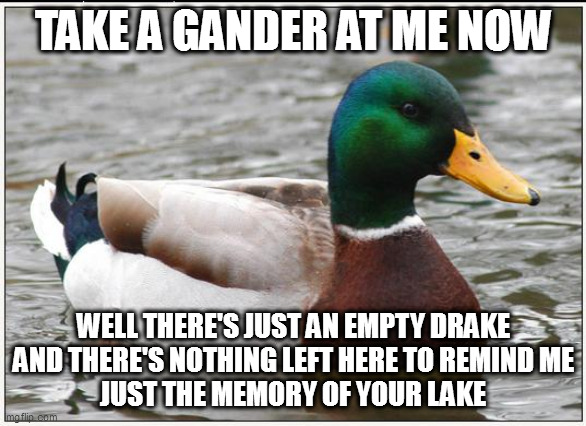 Actual Advice Mallard | TAKE A GANDER AT ME NOW; WELL THERE'S JUST AN EMPTY DRAKE
AND THERE'S NOTHING LEFT HERE TO REMIND ME
JUST THE MEMORY OF YOUR LAKE | image tagged in memes,actual advice mallard | made w/ Imgflip meme maker