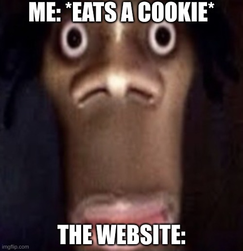 Quandale dingle | ME: *EATS A COOKIE*; THE WEBSITE: | image tagged in quandale dingle | made w/ Imgflip meme maker
