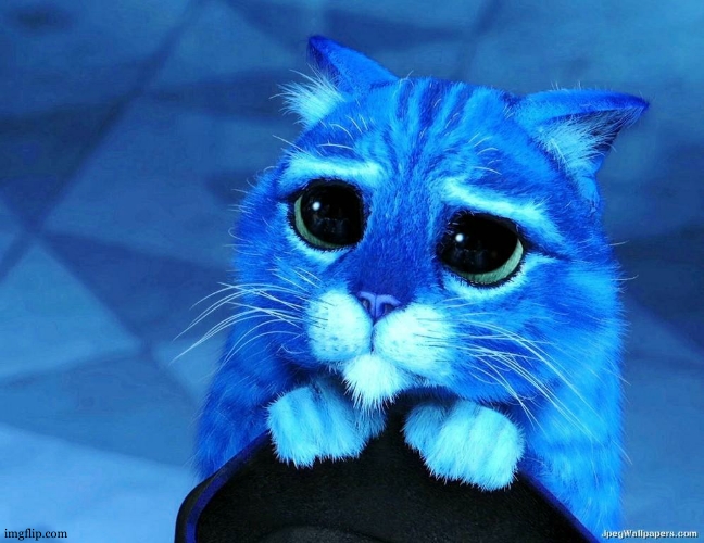 pussinboots | image tagged in pussinboots | made w/ Imgflip meme maker