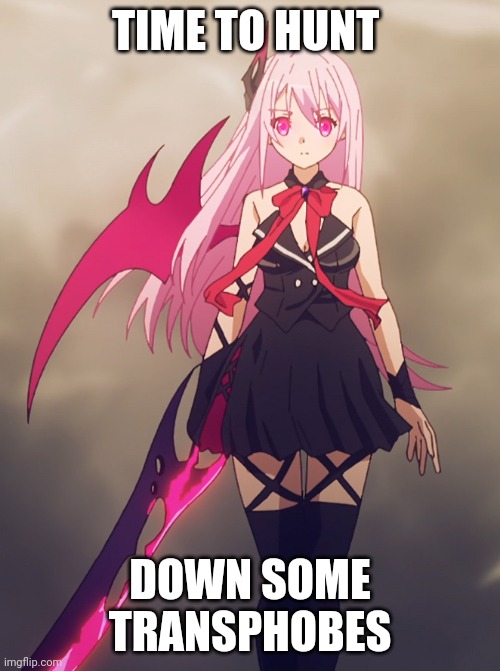 Kisara | TIME TO HUNT; DOWN SOME TRANSPHOBES | image tagged in anime | made w/ Imgflip meme maker