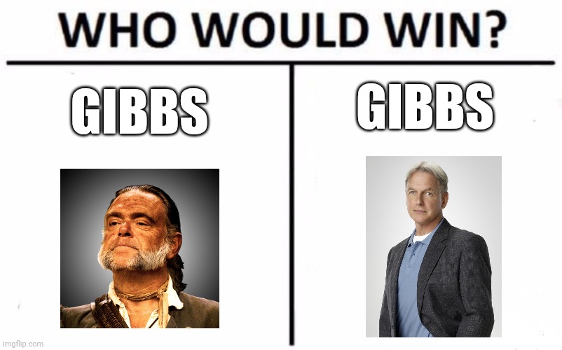 Gibbs vs Gibbs | GIBBS; GIBBS | image tagged in memes,who would win | made w/ Imgflip meme maker