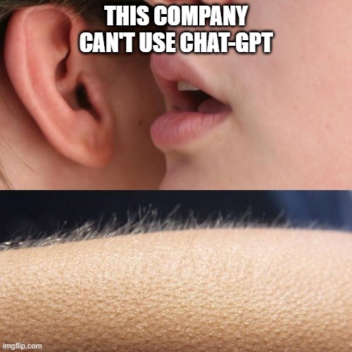 Whisper and Goosebumps | THIS COMPANY CAN'T USE CHAT-GPT | image tagged in whisper and goosebumps | made w/ Imgflip meme maker