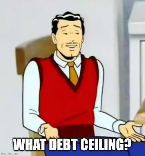 What debt ceiling? | WHAT DEBT CEILING? | image tagged in what,national debt | made w/ Imgflip meme maker