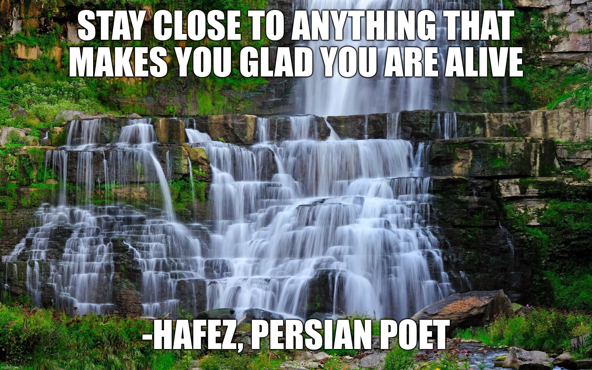 STAY CLOSE TO ANYTHING THAT MAKES YOU GLAD YOU ARE ALIVE; -HAFEZ, PERSIAN POET | image tagged in memes,motivational | made w/ Imgflip meme maker