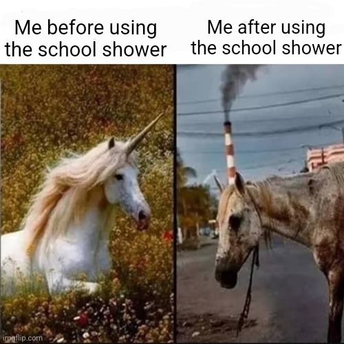 Unicorn vs dirty horse | Me after using the school shower; Me before using the school shower | image tagged in unicorn vs dirty horse,memes,middle school,school,school meme,high school | made w/ Imgflip meme maker