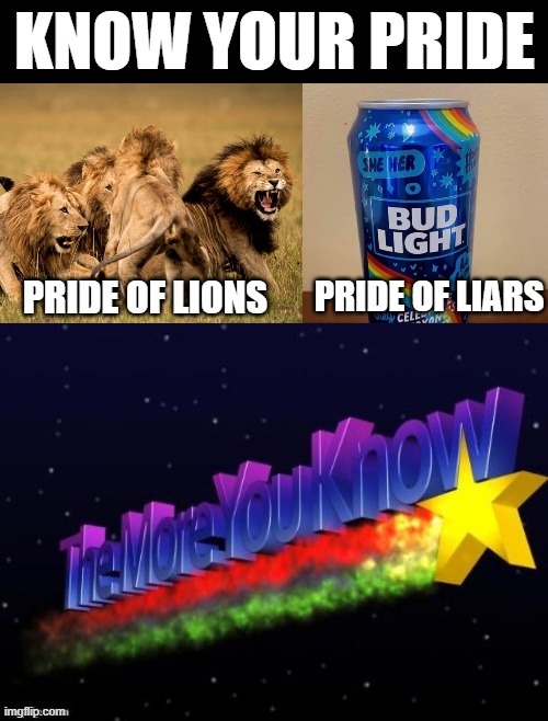 One will leave a bad taste in your mouth.  You will leave a bad taste in the other's mouth. | KNOW YOUR PRIDE; PRIDE OF LIARS; PRIDE OF LIONS | image tagged in lgbtq bud light,the more you know | made w/ Imgflip meme maker