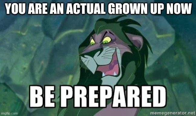 18th Birthday | YOU ARE AN ACTUAL GROWN UP NOW | image tagged in lion king | made w/ Imgflip meme maker