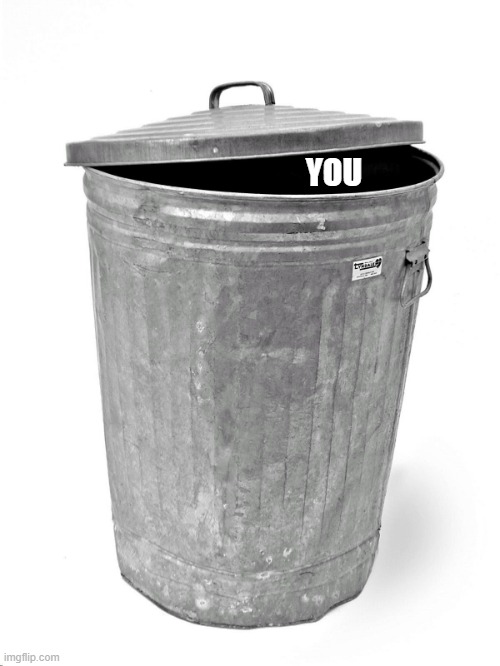 Trash Can | YOU | image tagged in trash can | made w/ Imgflip meme maker