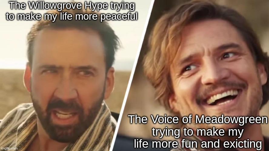 Just don't ask why | The Willowgrove Hype trying to make my life more peaceful; The Voice of Meadowgreen trying to make my life more fun and exicting | image tagged in nick cage and pedro pascal | made w/ Imgflip meme maker