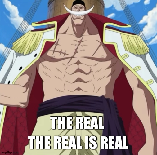 the one piece is real | THE REAL THE REAL IS REAL | image tagged in the one piece is real | made w/ Imgflip meme maker