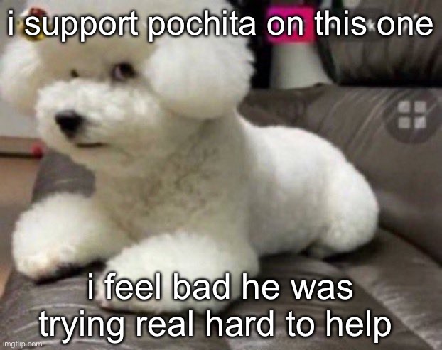 Bombastic side eye | i support pochita on this one; i feel bad he was trying real hard to help | image tagged in bombastic side eye | made w/ Imgflip meme maker