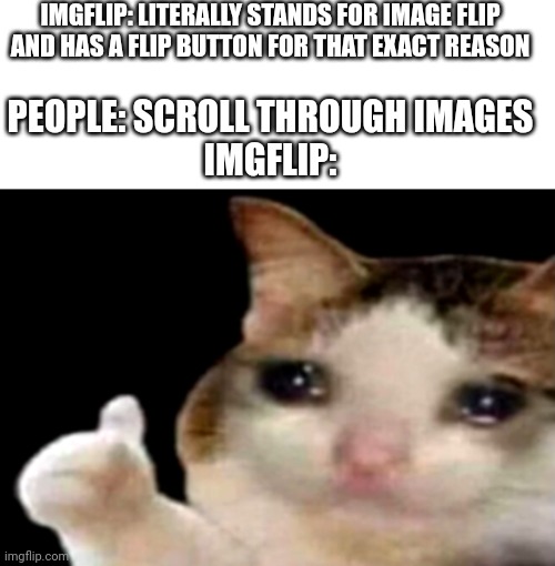 Cat mem | IMGFLIP: LITERALLY STANDS FOR IMAGE FLIP AND HAS A FLIP BUTTON FOR THAT EXACT REASON; PEOPLE: SCROLL THROUGH IMAGES
IMGFLIP: | image tagged in sad cat thumbs up | made w/ Imgflip meme maker