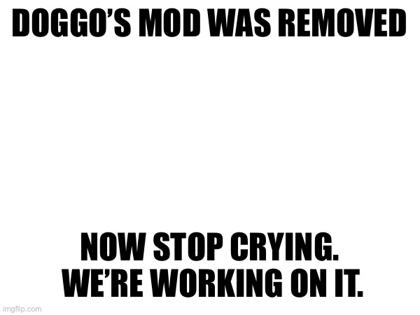 (kyrian247 note: don't you mean doggie?) | DOGGO’S MOD WAS REMOVED; NOW STOP CRYING.  WE’RE WORKING ON IT. | made w/ Imgflip meme maker