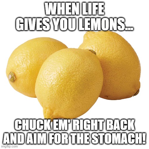 If life gives you lemons... | WHEN LIFE GIVES YOU LEMONS... CHUCK EM' RIGHT BACK AND AIM FOR THE STOMACH! | image tagged in sayings,food,ouch,ha ha,when life gives you lemons,blah blah blah | made w/ Imgflip meme maker