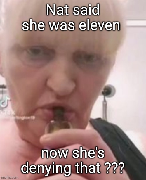 i don't even know bruh | Nat said she was eleven; now she's denying that ??? | image tagged in iswearbdfnfnnghk | made w/ Imgflip meme maker