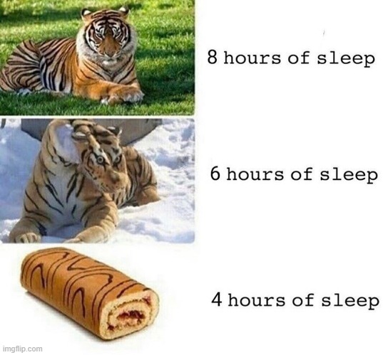 image tagged in memes | made w/ Imgflip meme maker