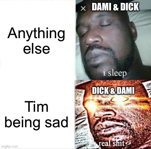 Sleeping Shaq Meme | Anything else; DAMI & DICK; DICK & DAMI; Tim being sad | image tagged in memes,sleeping shaq | made w/ Imgflip meme maker