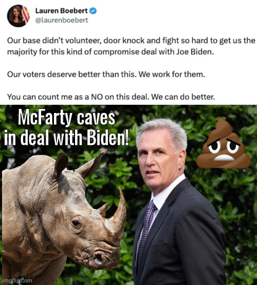 Kevin McFarty almost had it caves in Biden deal | McFarty caves in deal with Biden! | image tagged in rhino,kevin | made w/ Imgflip meme maker