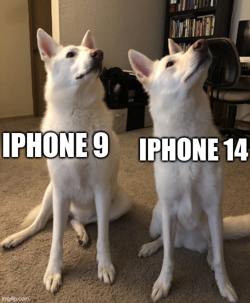 .... | IPHONE 14; IPHONE 9 | image tagged in there is one dog | made w/ Imgflip meme maker