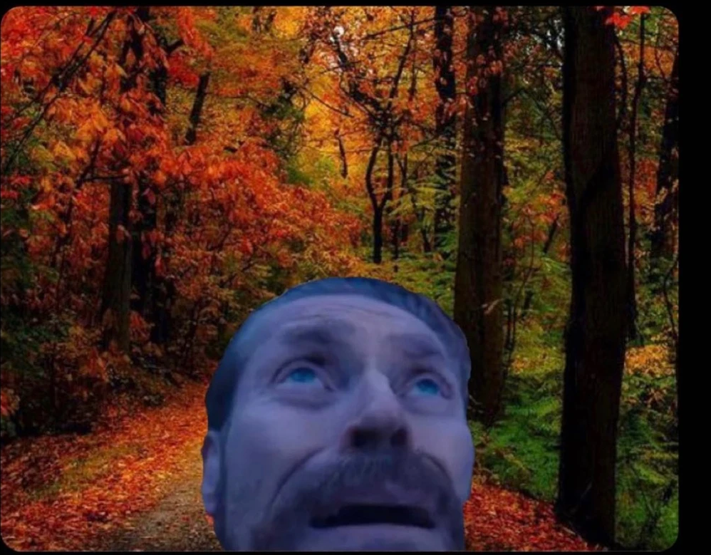 fall haters Blank Meme Template