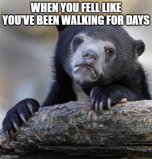 sloths | WHEN YOU FELL LIKE YOU'VE BEEN WALKING FOR DAYS | image tagged in memes,confession bear | made w/ Imgflip meme maker