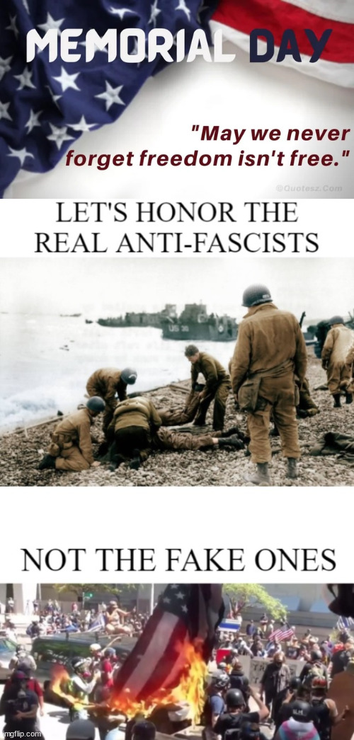 Memorial day... | image tagged in memorial day,anti,fascists | made w/ Imgflip meme maker