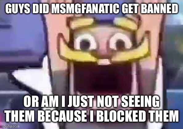 GUYS DID MSMGFANATIC GET BANNED; OR AM I JUST NOT SEEING THEM BECAUSE I BLOCKED THEM | made w/ Imgflip meme maker