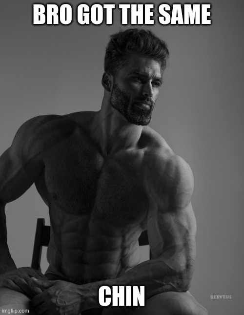 Giga Chad | BRO GOT THE SAME CHIN | image tagged in giga chad | made w/ Imgflip meme maker