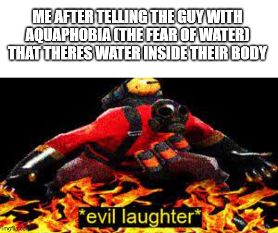 evil | ME AFTER TELLING THE GUY WITH AQUAPHOBIA (THE FEAR OF WATER) THAT THERES WATER INSIDE THEIR BODY | image tagged in evil laughter | made w/ Imgflip meme maker