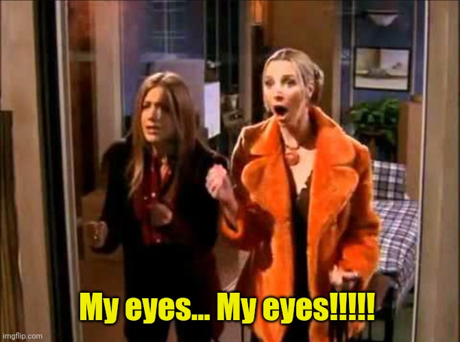 phoebe my eyes | My eyes... My eyes!!!!! | image tagged in phoebe my eyes | made w/ Imgflip meme maker