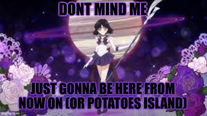 sailor saturn who tf are you | DONT MIND ME; JUST GONNA BE HERE FROM NOW ON (OR POTATOES ISLAND) | image tagged in sailor saturn who tf are you | made w/ Imgflip meme maker