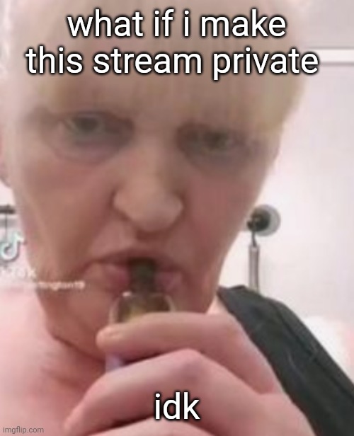 tbf it ain't meant to b an MSmg backup but | what if i make this stream private; idk | image tagged in iswearbdfnfnnghk | made w/ Imgflip meme maker