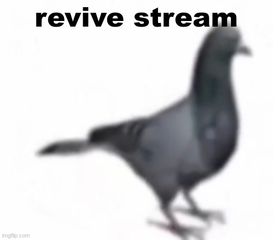 pigon | revive stream | image tagged in pigon | made w/ Imgflip meme maker