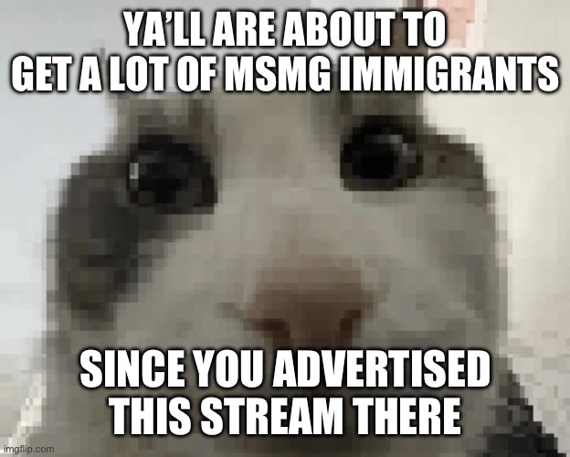 YA’LL ARE ABOUT TO GET A LOT OF MSMG IMMIGRANTS; SINCE YOU ADVERTISED THIS STREAM THERE | made w/ Imgflip meme maker