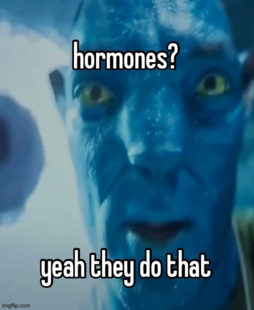 MSMG refugee here! this was the last shitpost in MSMG :( | made w/ Imgflip meme maker